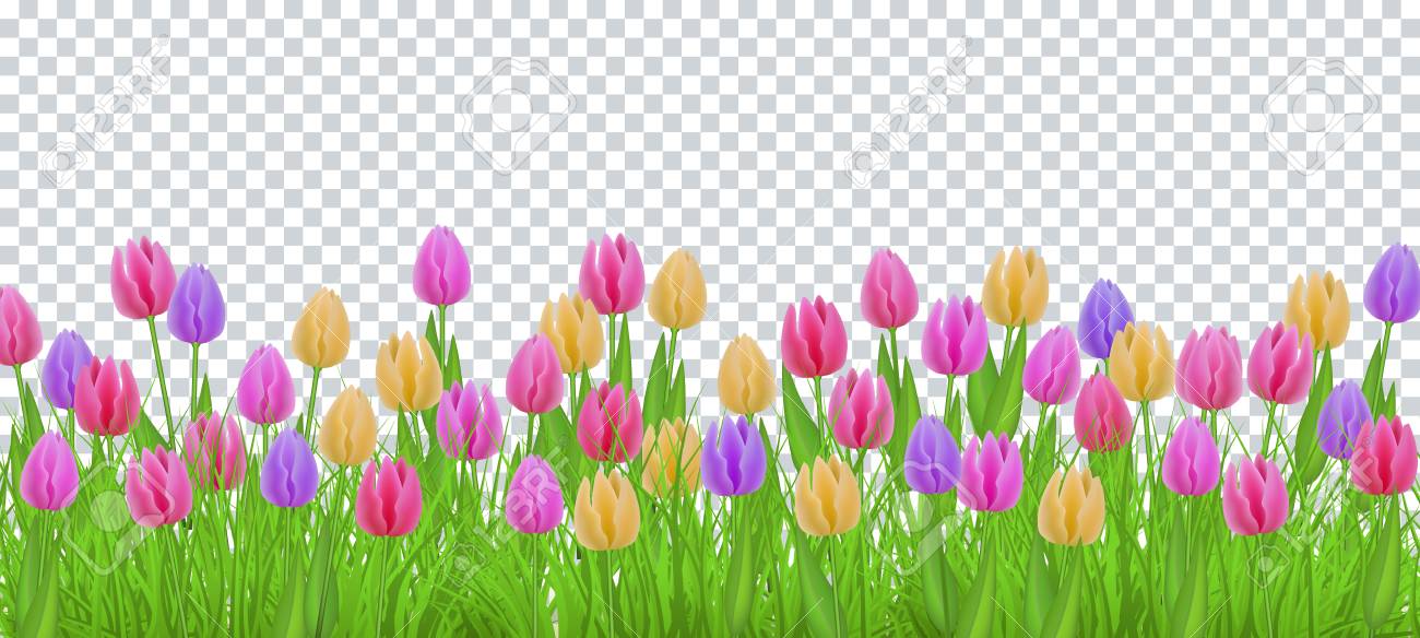 green meadow grass tulip flowers border frame template on