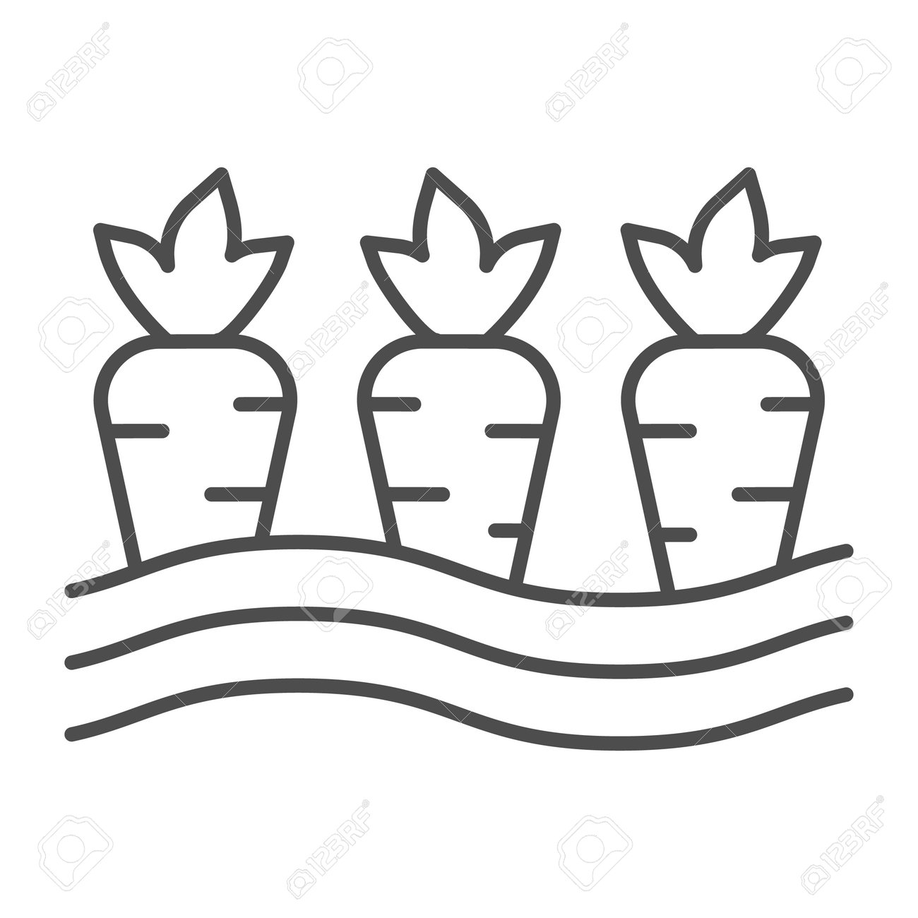 Carrots In Ground Thin Line Icon, Farm Garden Concept, Carrot Growing From  Ground Sign On White Background, Vegetables Garden Icon In Outline Style  For Mobile And Web Design. Vector Graphics. Royalty Free, image size:1300x1300