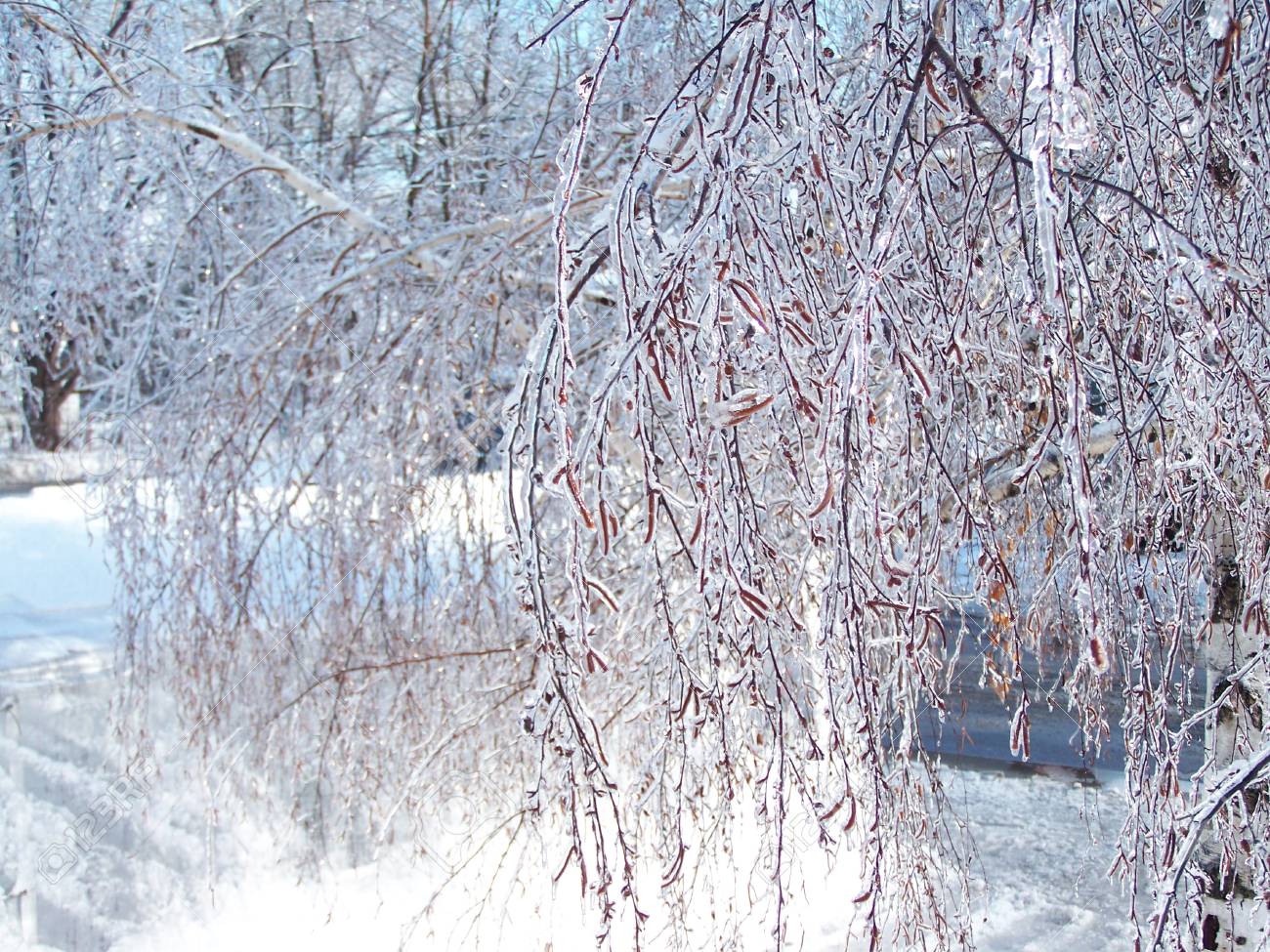 12/24pcs Christmas Clear Simulation Icicle Pendants Xmas Tree Hanging Fake  Ice Winter Party New Year Gifts Navidad 5/7.5/10/13cm - AliExpress, image size:1300x975