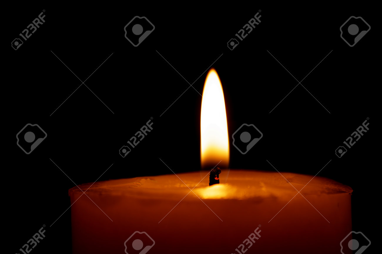 etiam-dictum-ipsum-a-felis