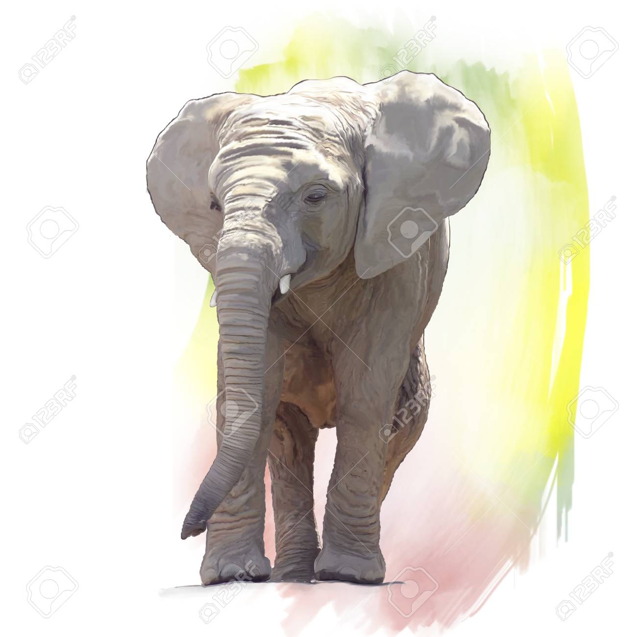 象の絵画