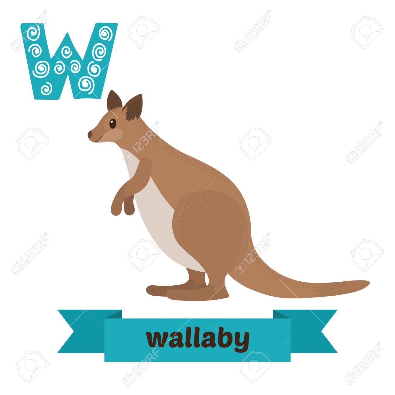 wallaby w letter cute children animal alphabet in vector funny w animal