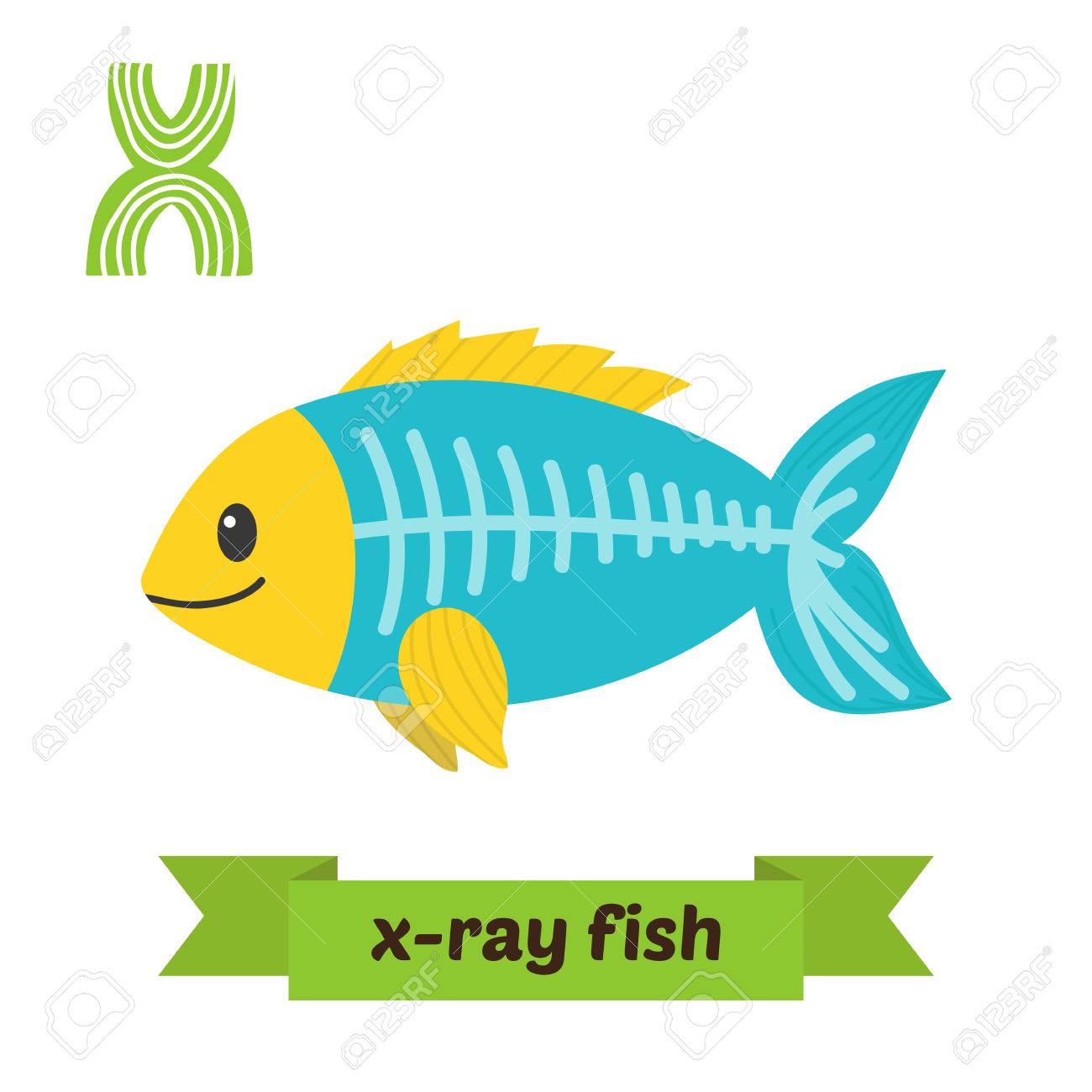 Pez De Rayos X Letra X Lindo Alfabeto De Los Ninos De Los Animales En El Vector Los Animales Divertidos Dibujos Animados Ilustracion Vectorial Ilustraciones Vectoriales Clip Art Vectorizado Libre De Derechos