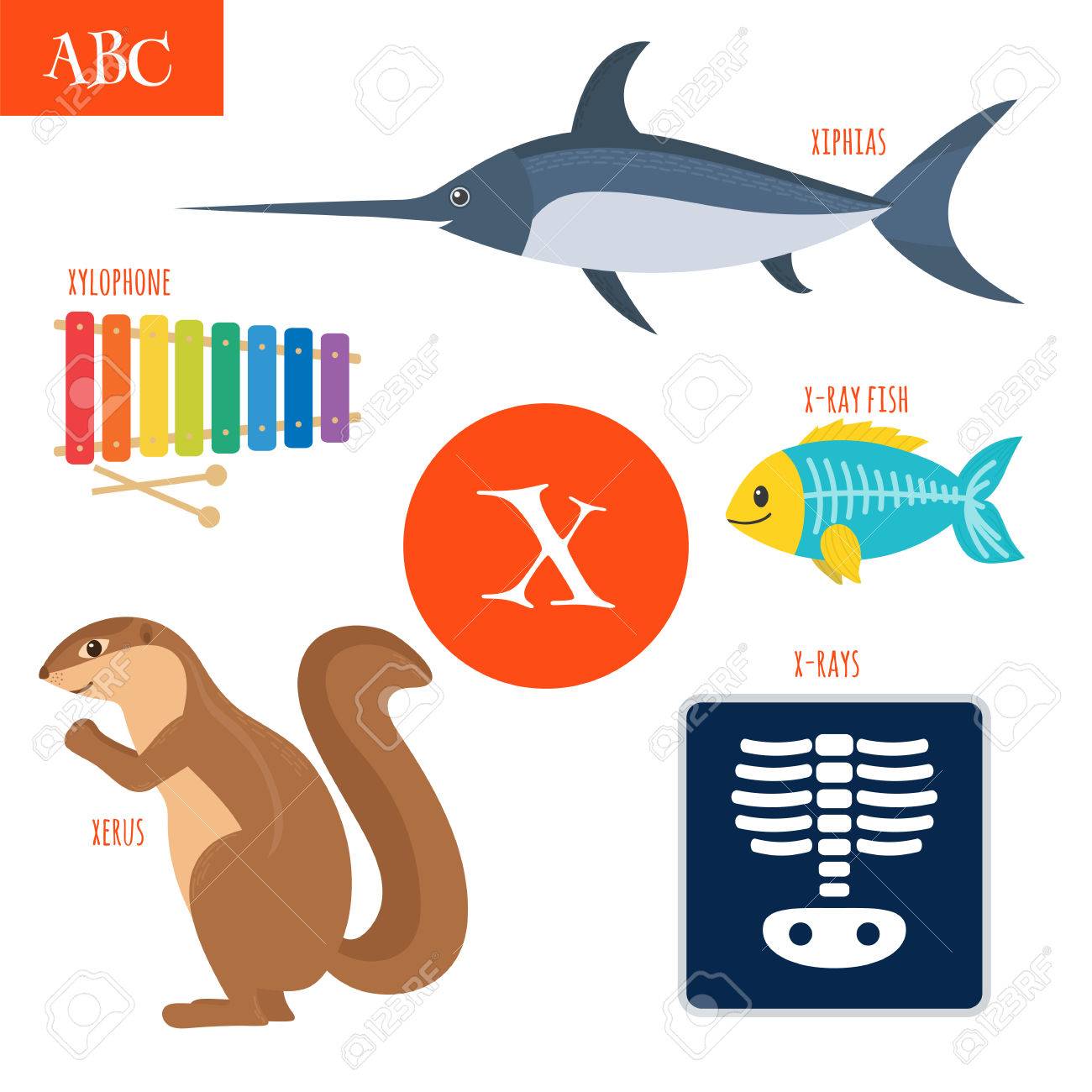 Letra X Alfabeto De Dibujos Animados Para Los Ninos Xilofono Rayos X Rayos X Pescado Xerus Xiphias Ilustracion Vectorial Ilustraciones Vectoriales Clip Art Vectorizado Libre De Derechos Image