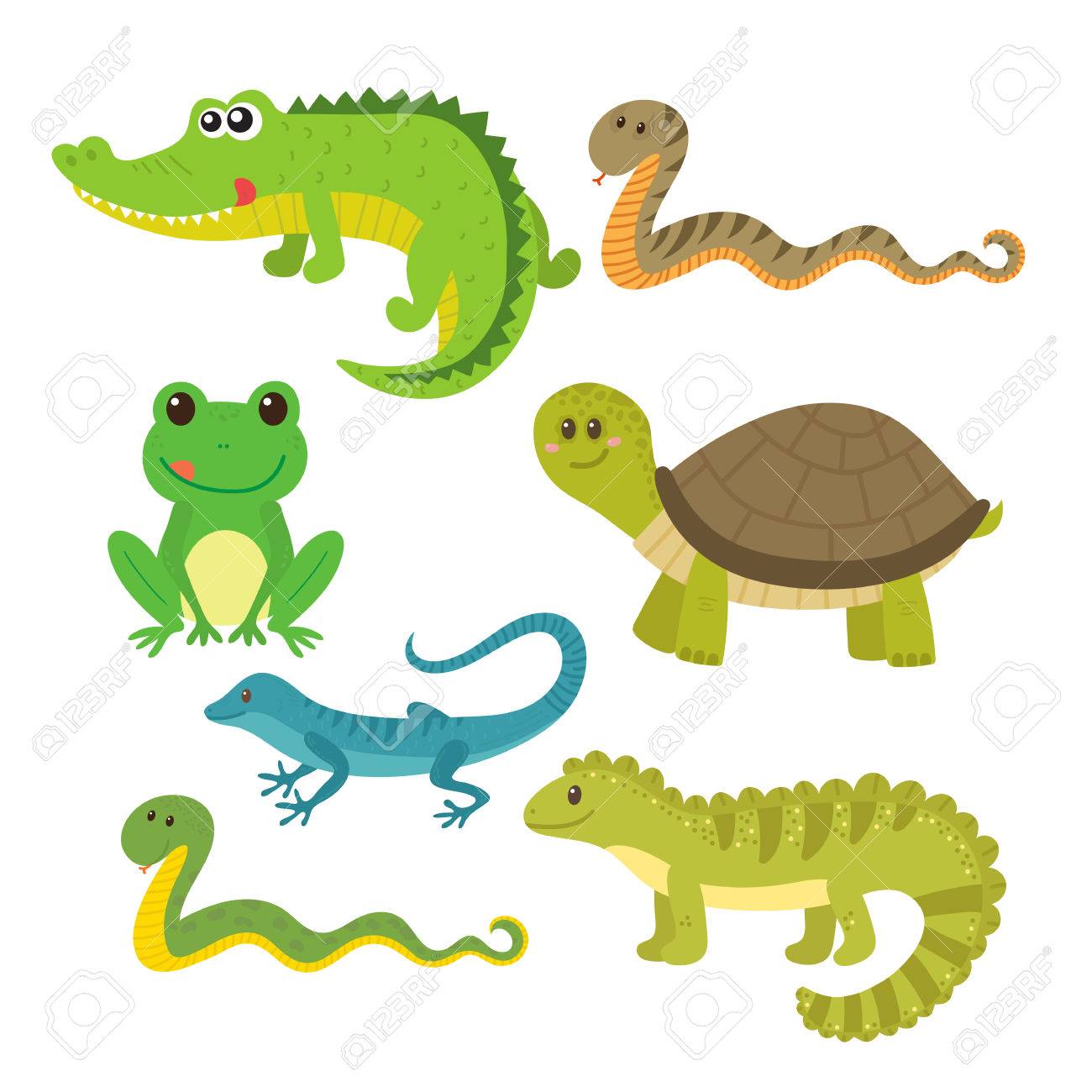 Conjunto De Reptiles. Animales Salvajes. Ilustración Ilustraciones ...