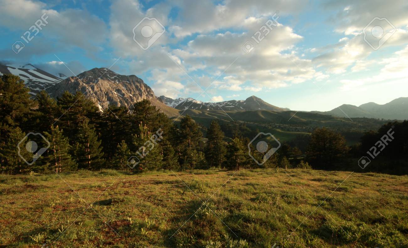 etiam-dictum-ipsum-a-felis