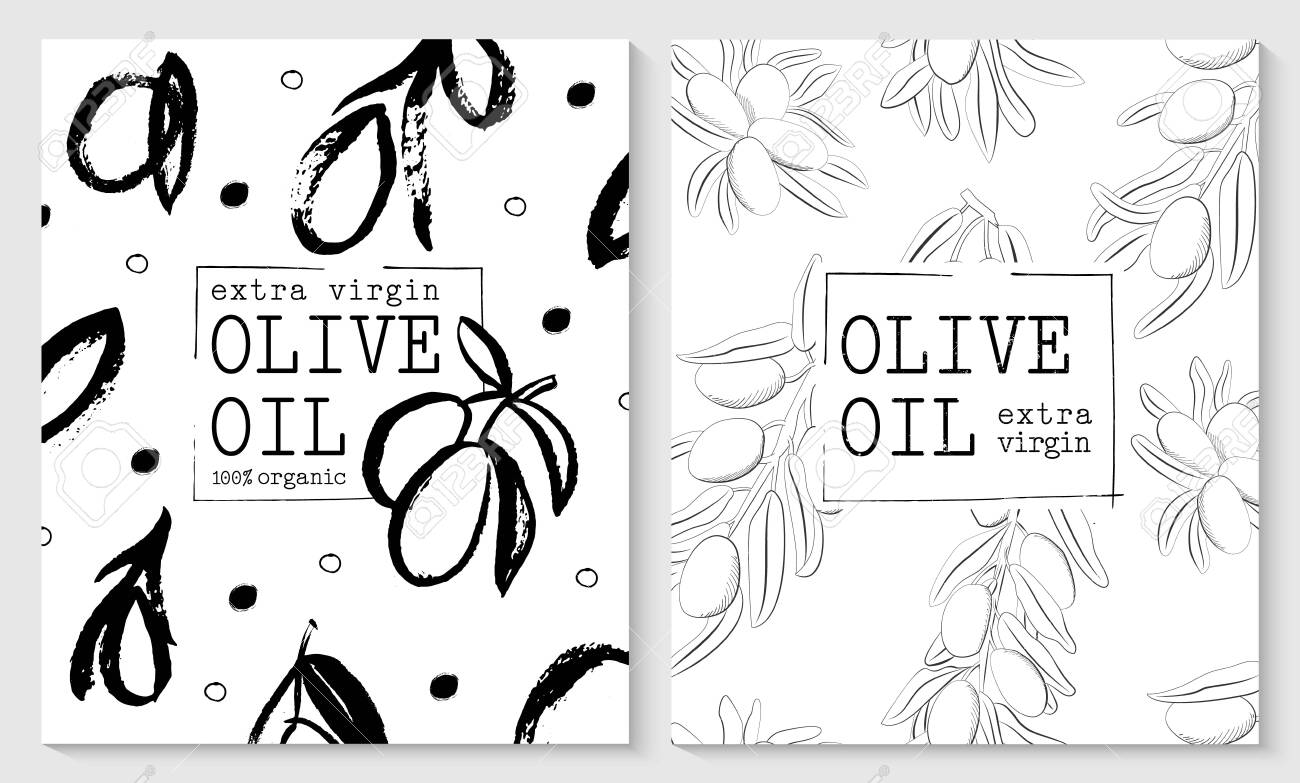 Vector packaging design elements and templates for olive oil labels and bottles - 143733093 Vector packaging design elements and templates for olive oil labels and bottles - 143733093