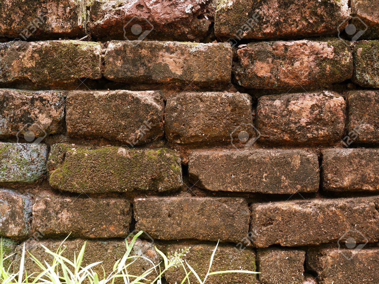 etiam-dictum-ipsum-a-felis