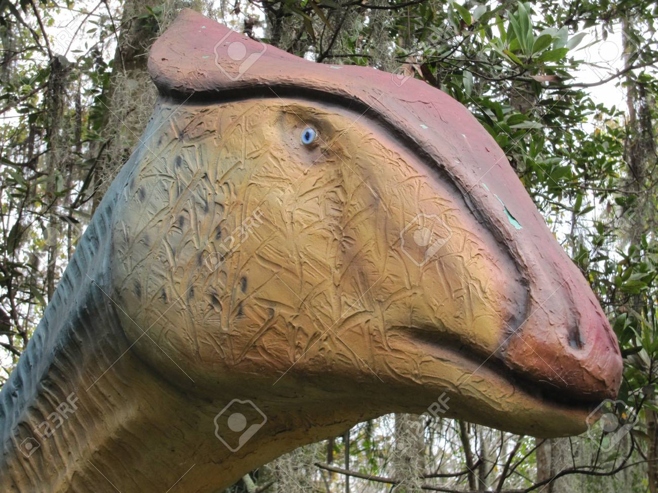 etiam-dictum-ipsum-a-felis