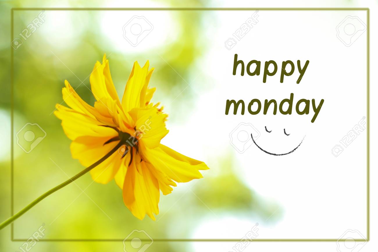 abstract blurred yellow flower with the text happy monday can
