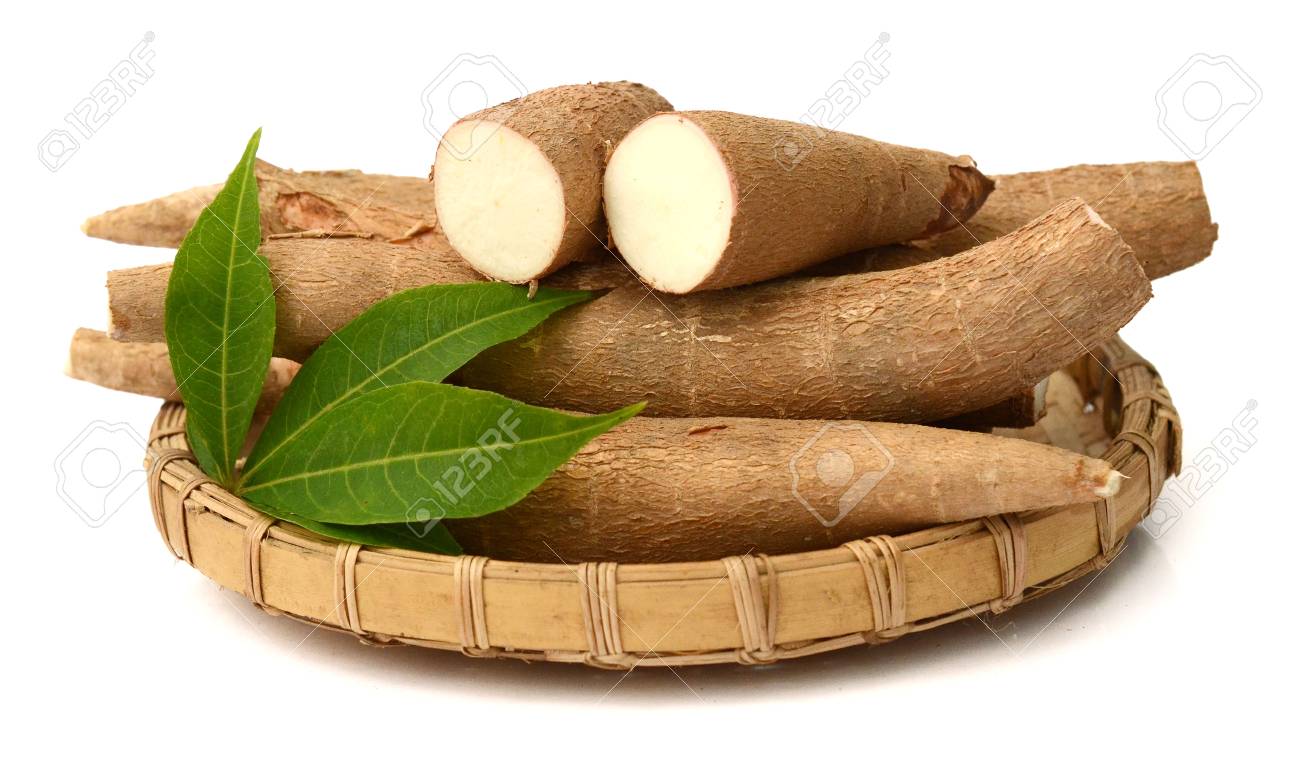 白い背景に隔離された切断と全体のマニオック キャッサバ の写真素材 画像素材 Image