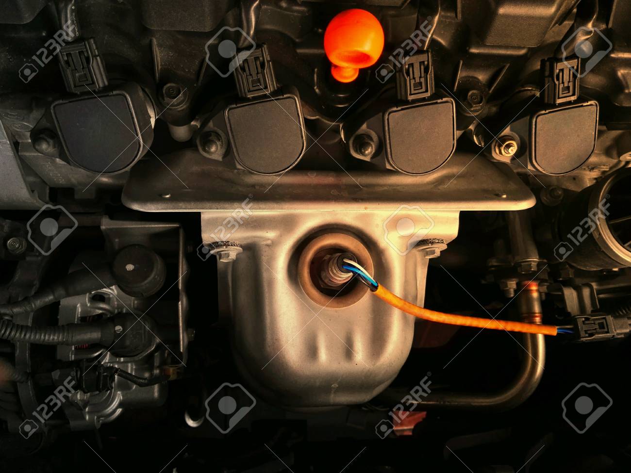 etiam-dictum-ipsum-a-felis