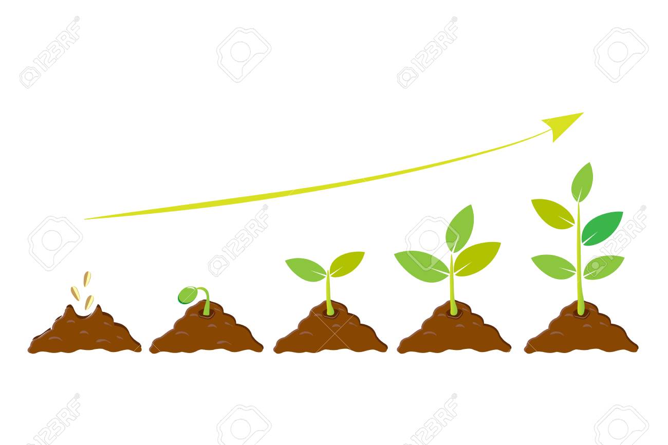 Planting Seed Sprout In Ground Vector Icon Royalty Free Cliparts Vectors And Stock Illustration Image