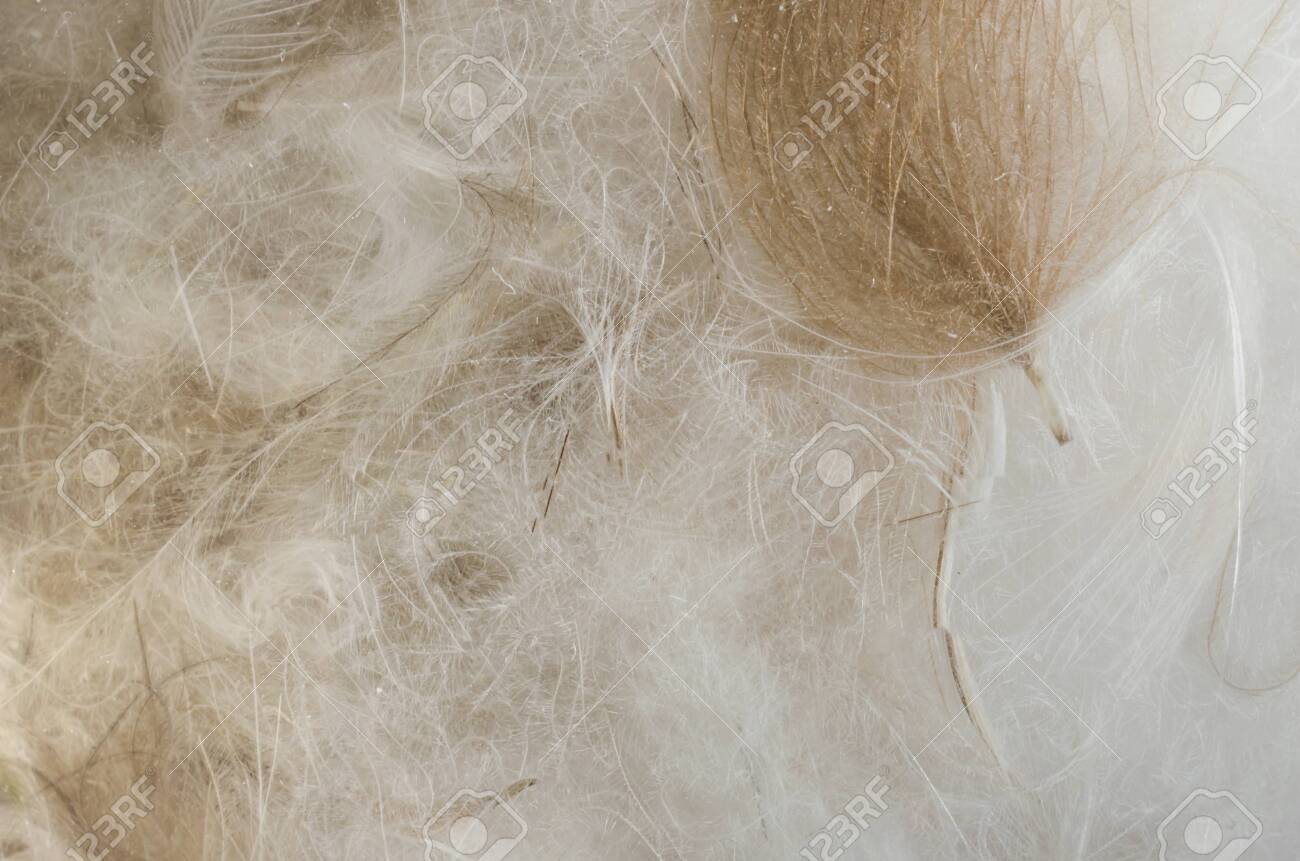 how to fluff a down jacket