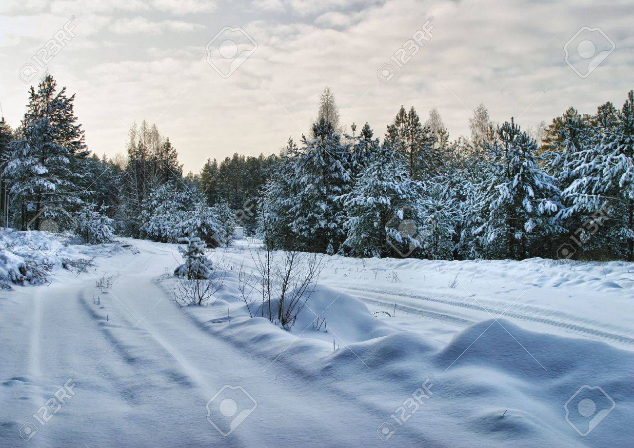 Walk through the beautiful places frosty Russian winter - 17524770 Walk through the beautiful places frosty Russian winter - 17524770