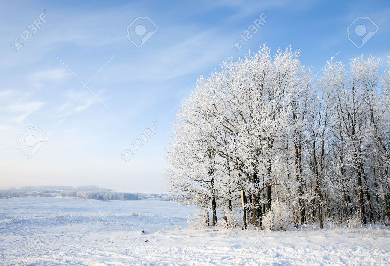 Walk through the beautiful winter scene in Russia - 17656461 Walk through the beautiful winter scene in Russia - 17656461