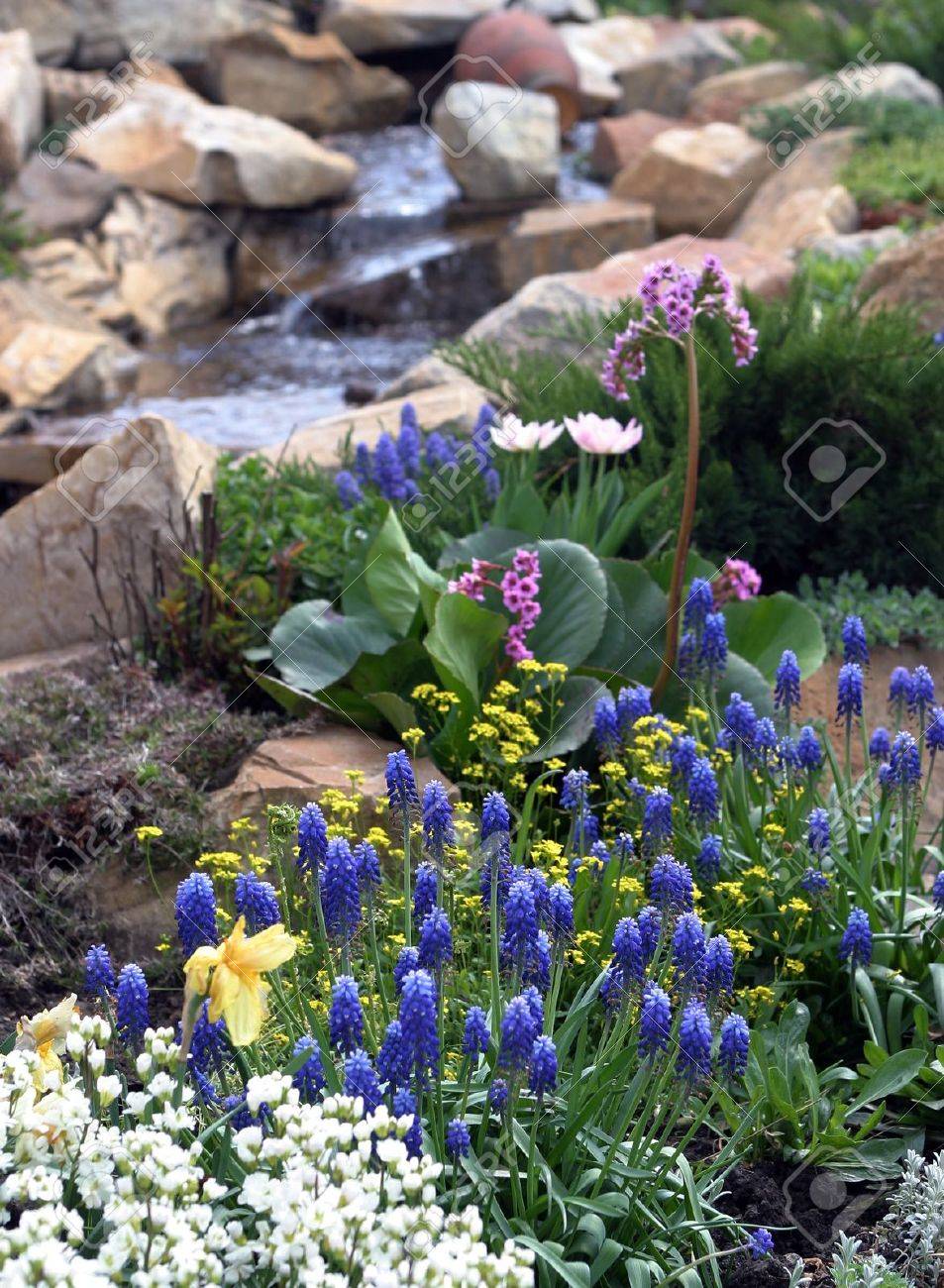 Transform Your Landscape with a Native Water Garden - Chattanooga, TN Patch, image size:953x1300