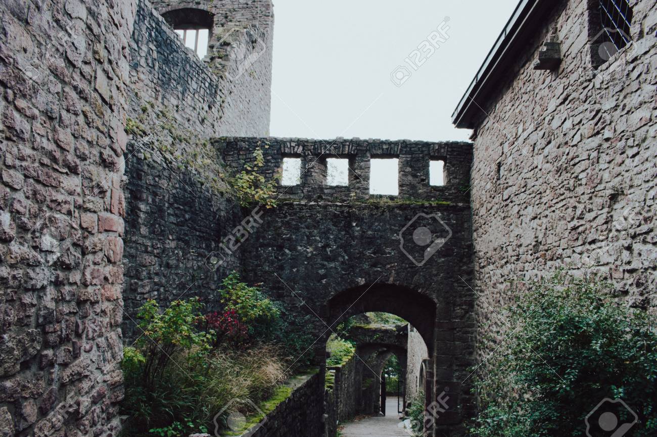 etiam-dictum-ipsum-a-felis