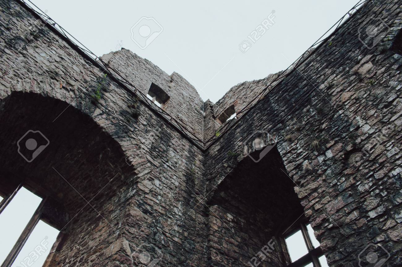 etiam-dictum-ipsum-a-felis