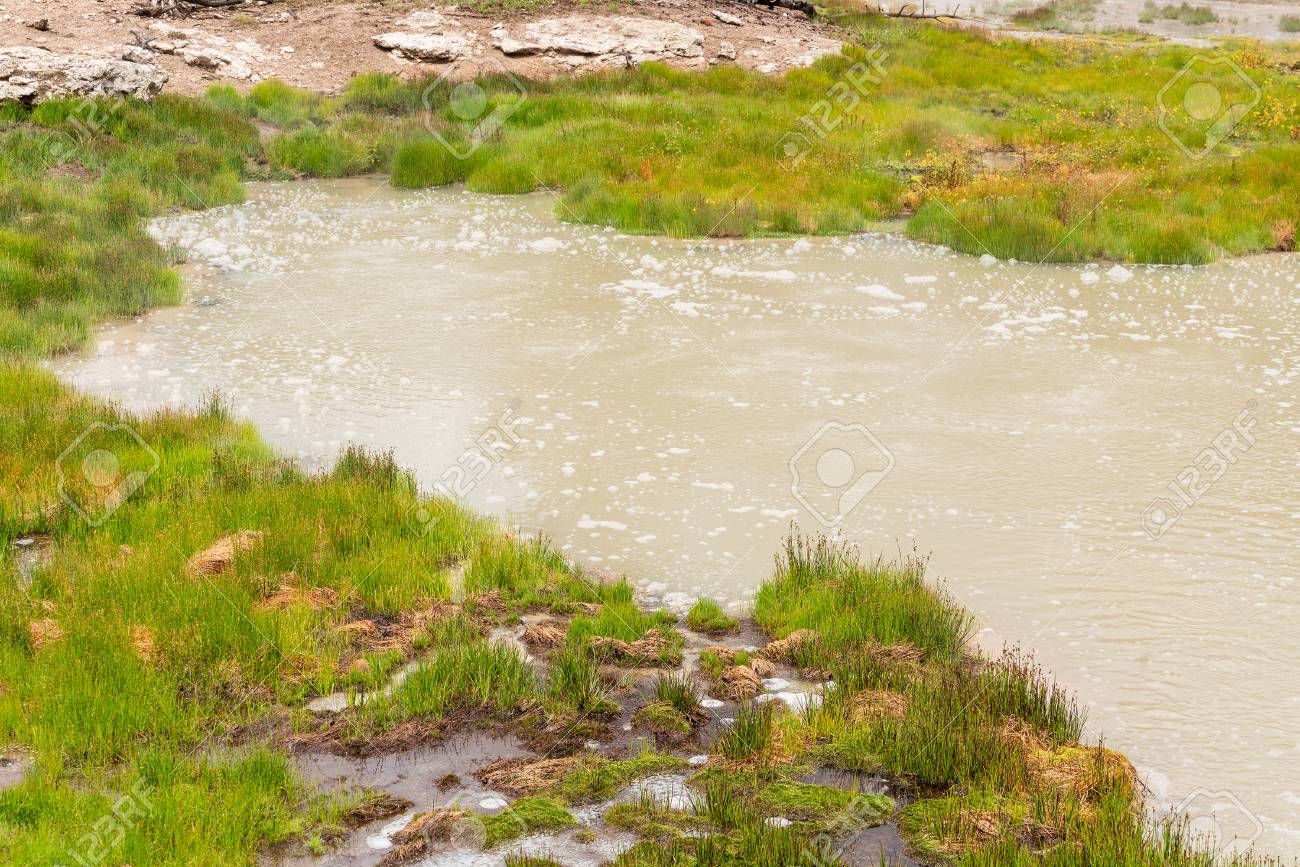 bubbling hot spring produces sulfur gas in yellowstone national sulfur in water