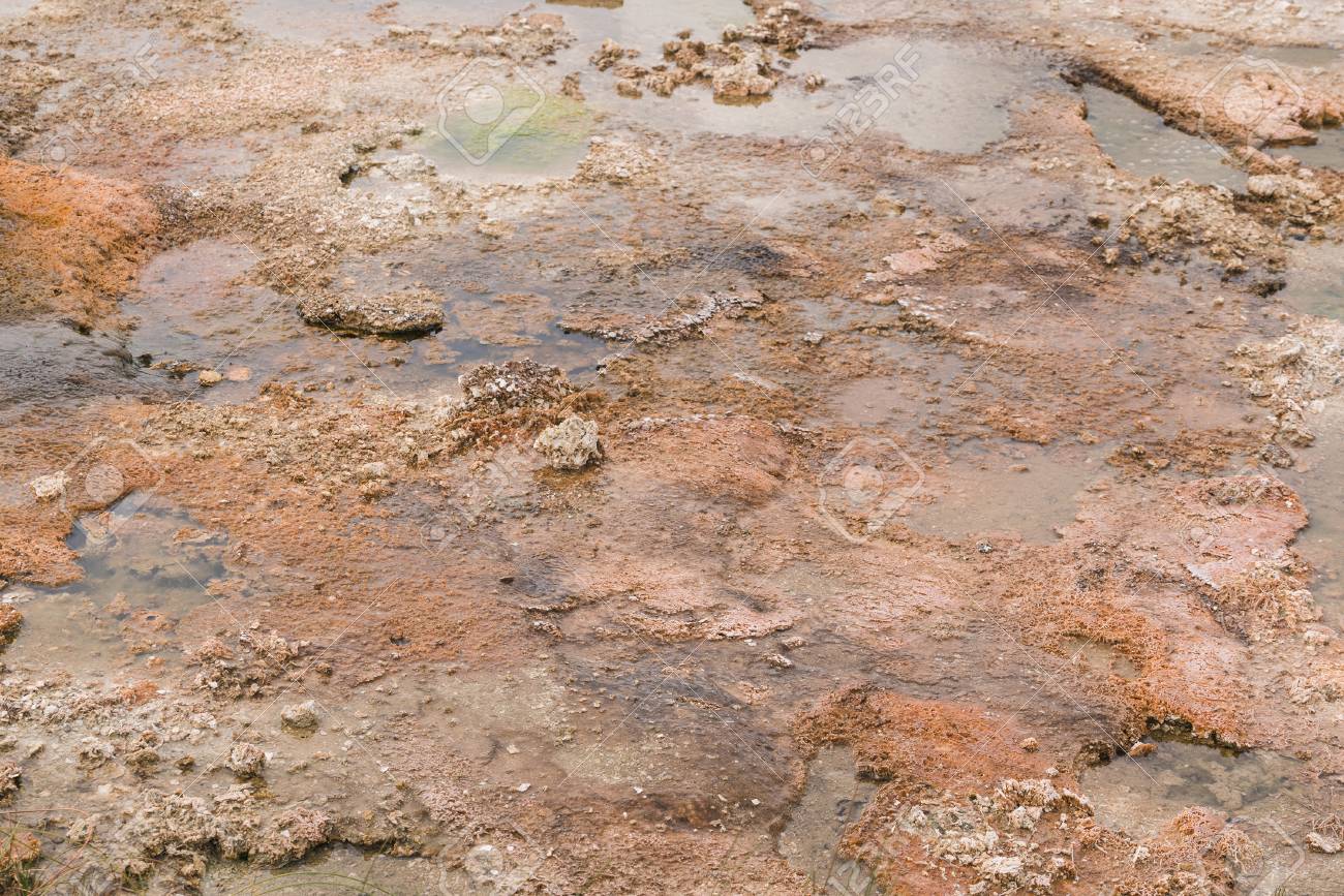 bubbling hot spring produces sulfur gas in yellowstone national sulfur in water