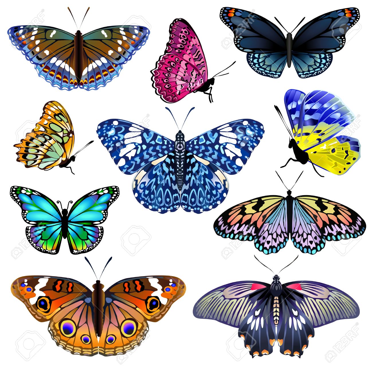set of colorful realistic isolated butterflies vector illustration butterfly vector free