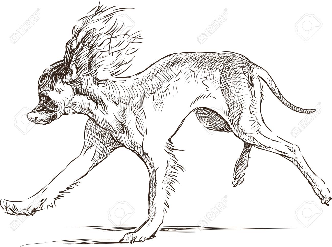 Vector Sketch Of A Running Funny Dog