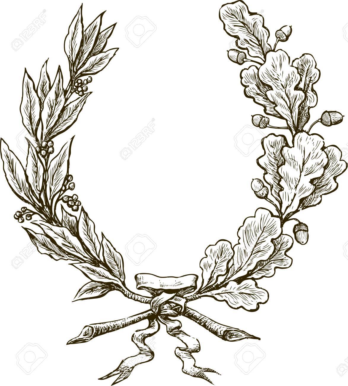 vector drawing of a