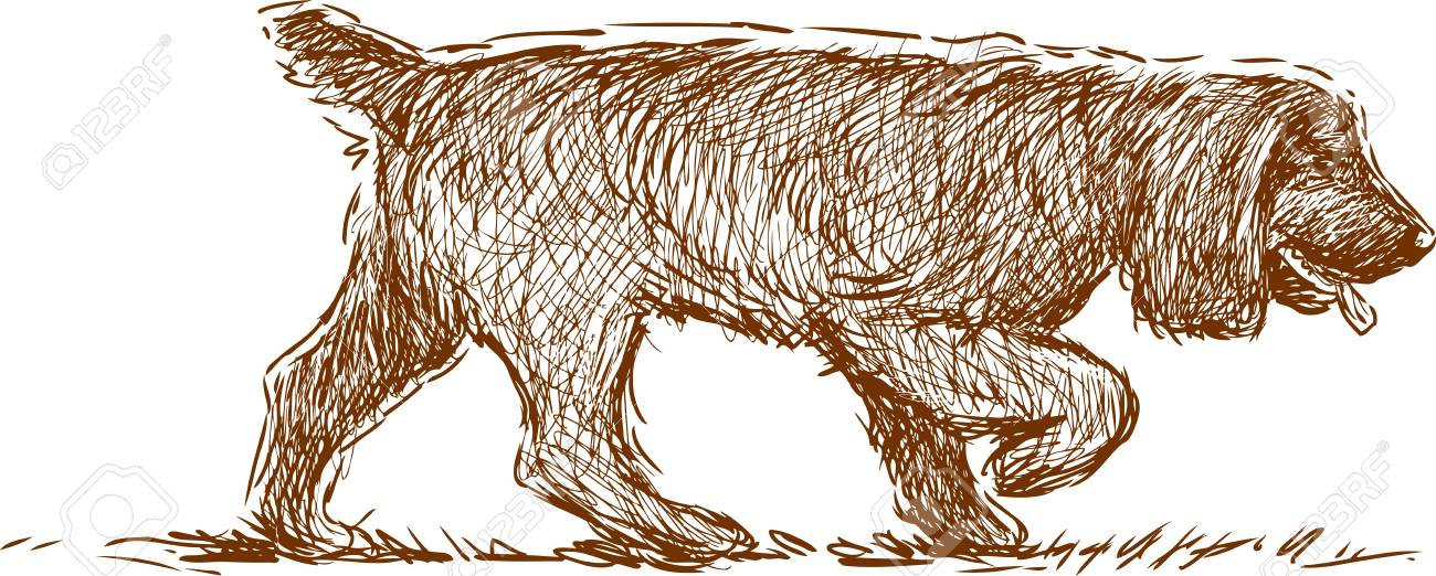 Détails Sur Epagneul Breton Chien De Chasse Peinture Sur Toile Signée E Moretti Animalier