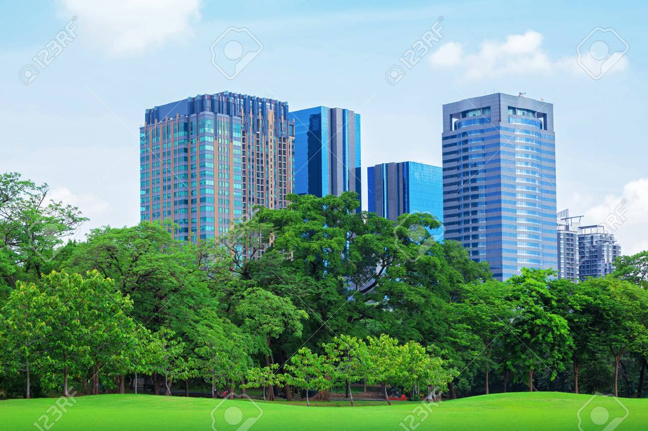 大都会の公園で緑の芝生フィールド の写真素材 画像素材 Image