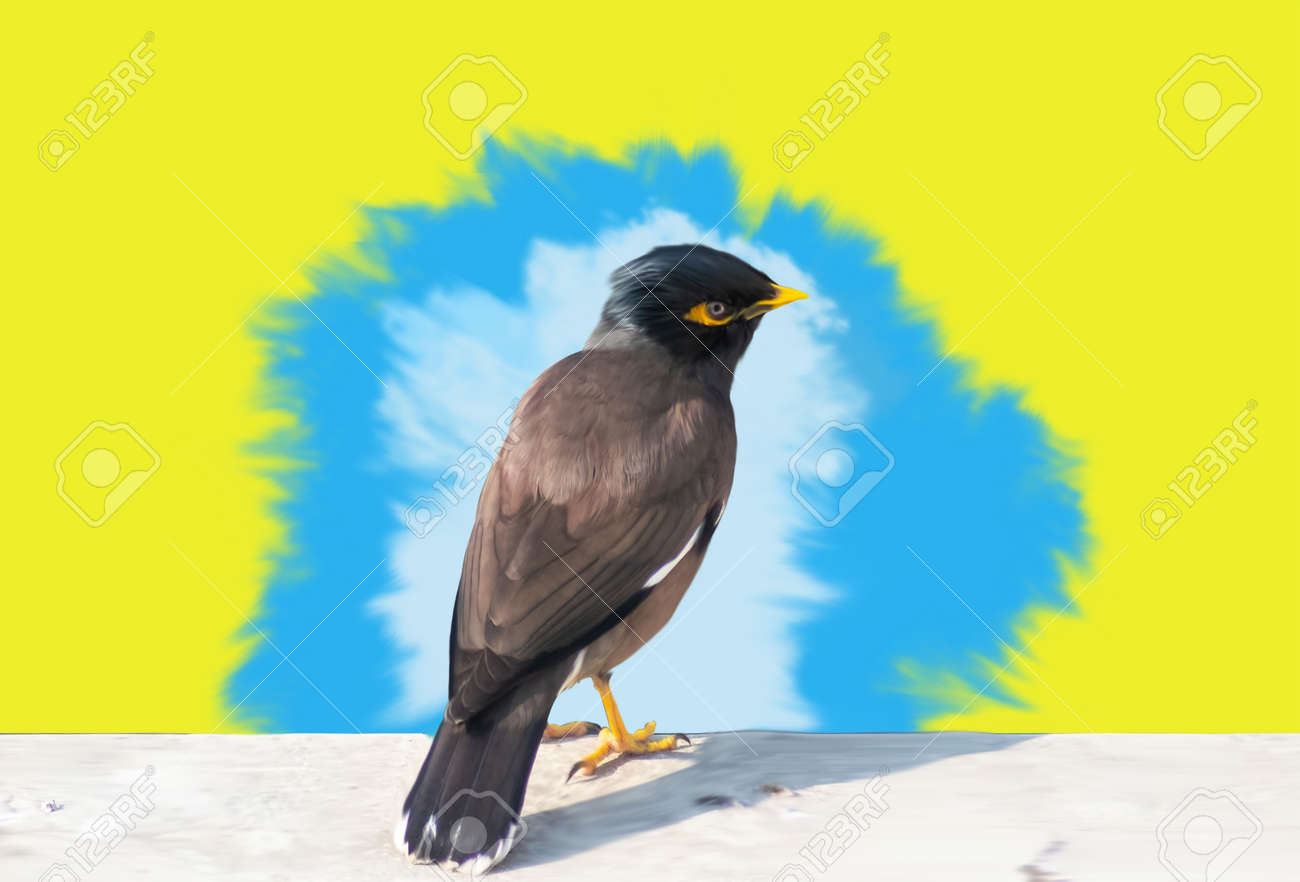 etiam-dictum-ipsum-a-felis