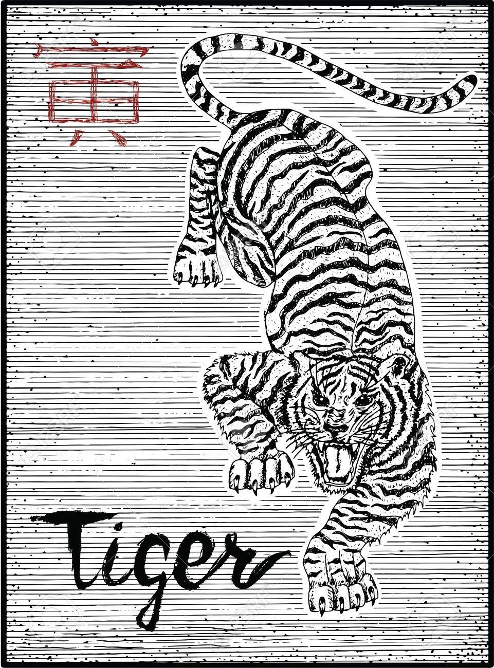 Zodiaco Chino Zodiaco Símbolo-Tigre Vinilo Calcomanía/Pegatina Zodiaco Chino Zodiaco Símbolo-Tigre Vinilo Calcomanía/Pegatina