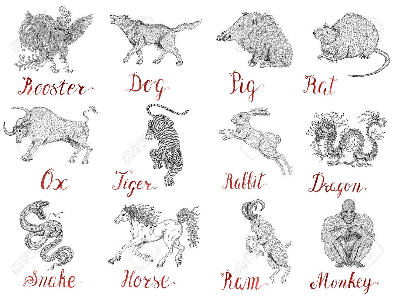 astrology set with drawings