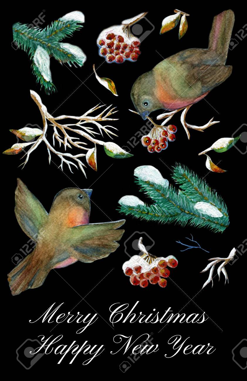 Vacances Dhiver établis Avec Des Oiseaux Des Conifères Branche Darbre Et De Petits Fruits Rouges Sur Le Noir Collection Dart De Design Pour Noël