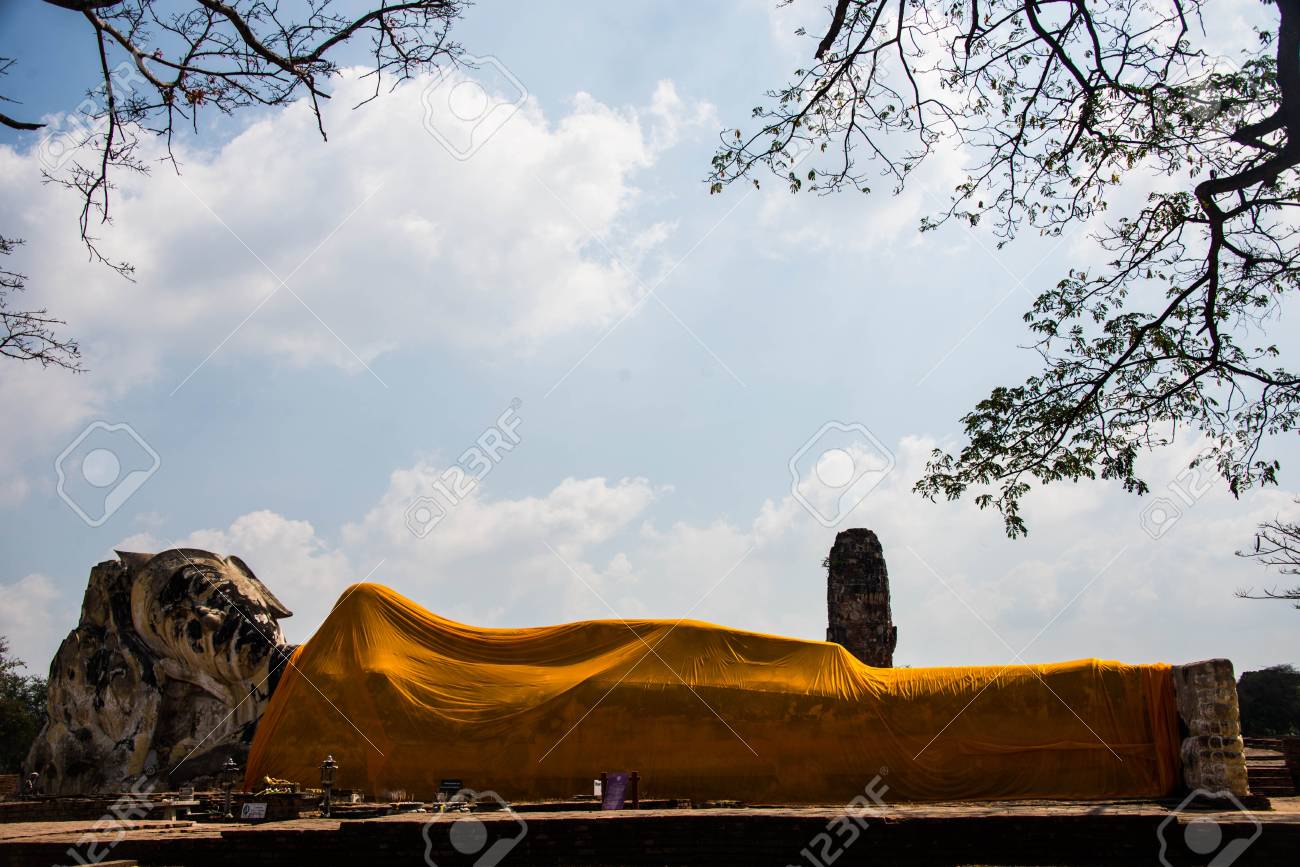 etiam-dictum-ipsum-a-felis