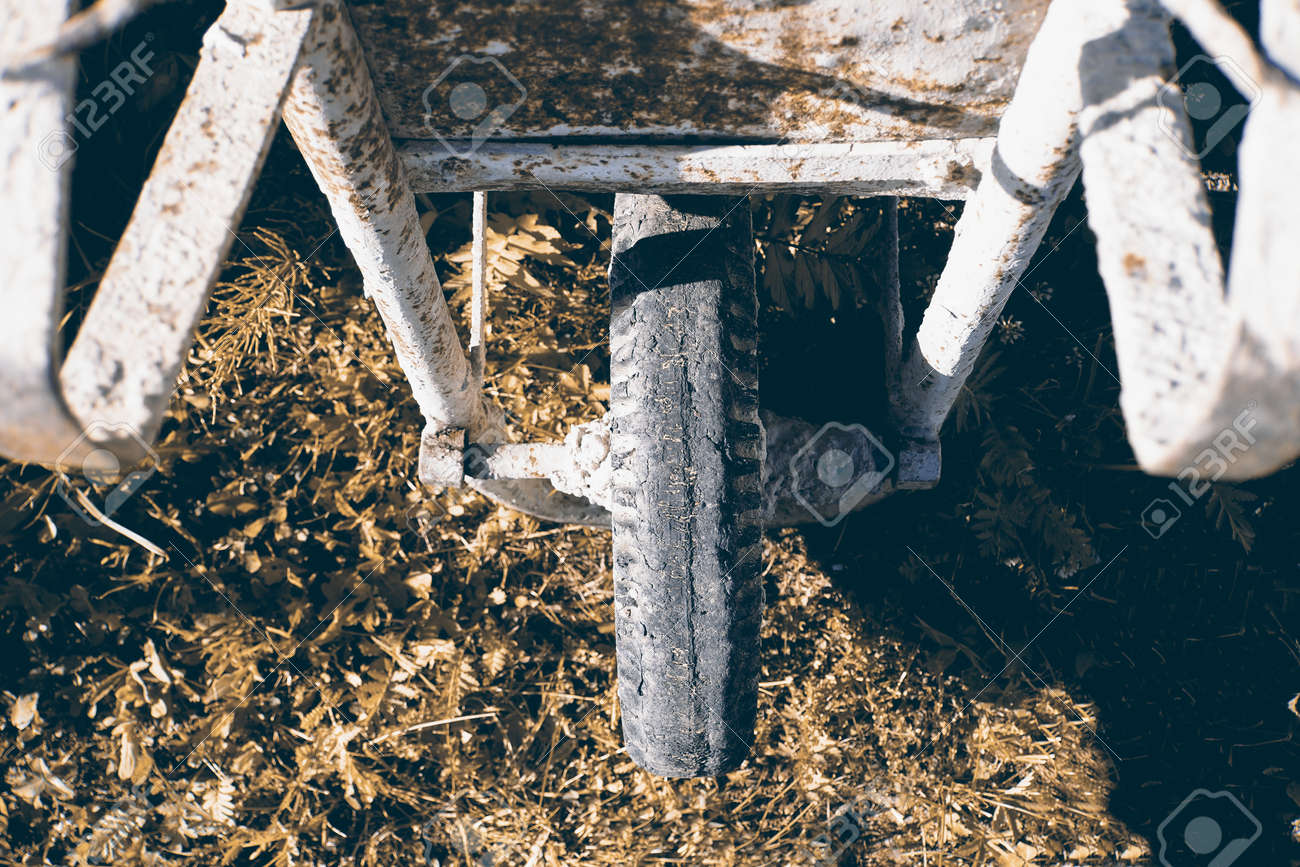 etiam-dictum-ipsum-a-felis