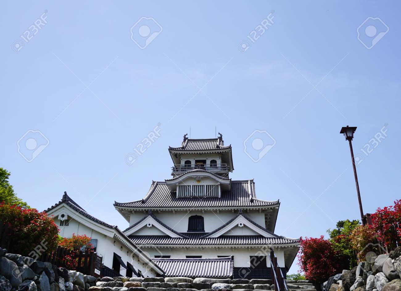 etiam-dictum-ipsum-a-felis