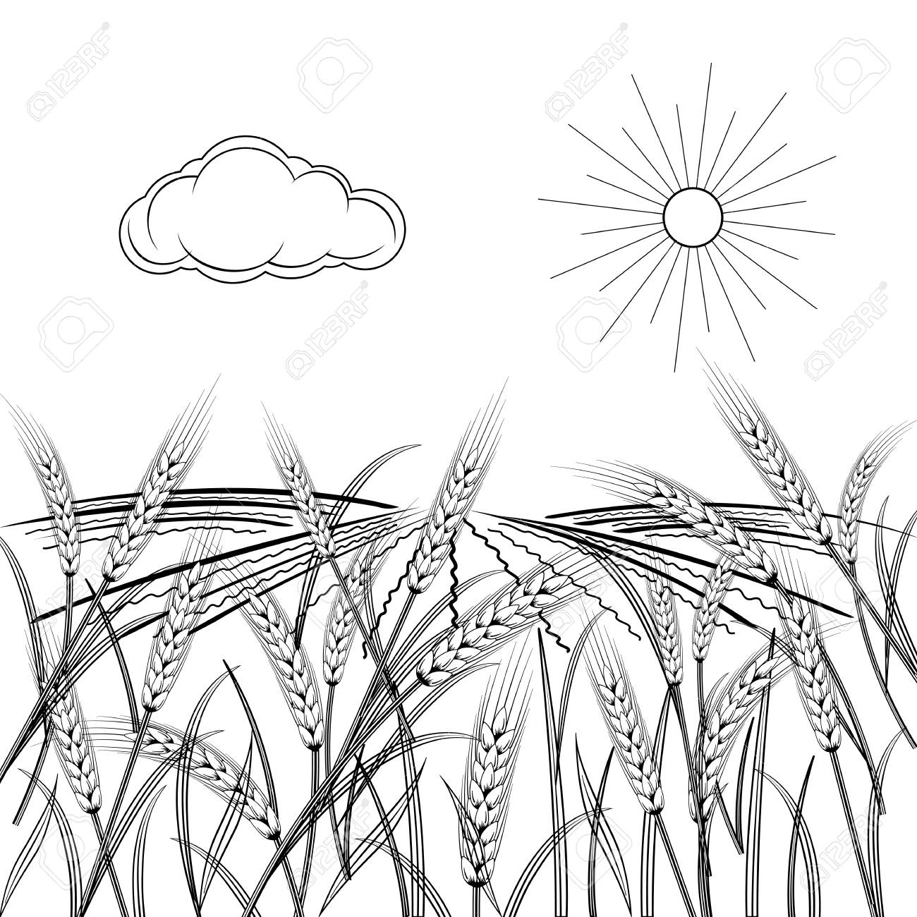 Wheat Field Background. Black Silhouettes On White. Vector Illustration.  Royalty Free SVG, Cliparts, Vectors, and Stock Illustration. Image 89334142., image size:1300x1300