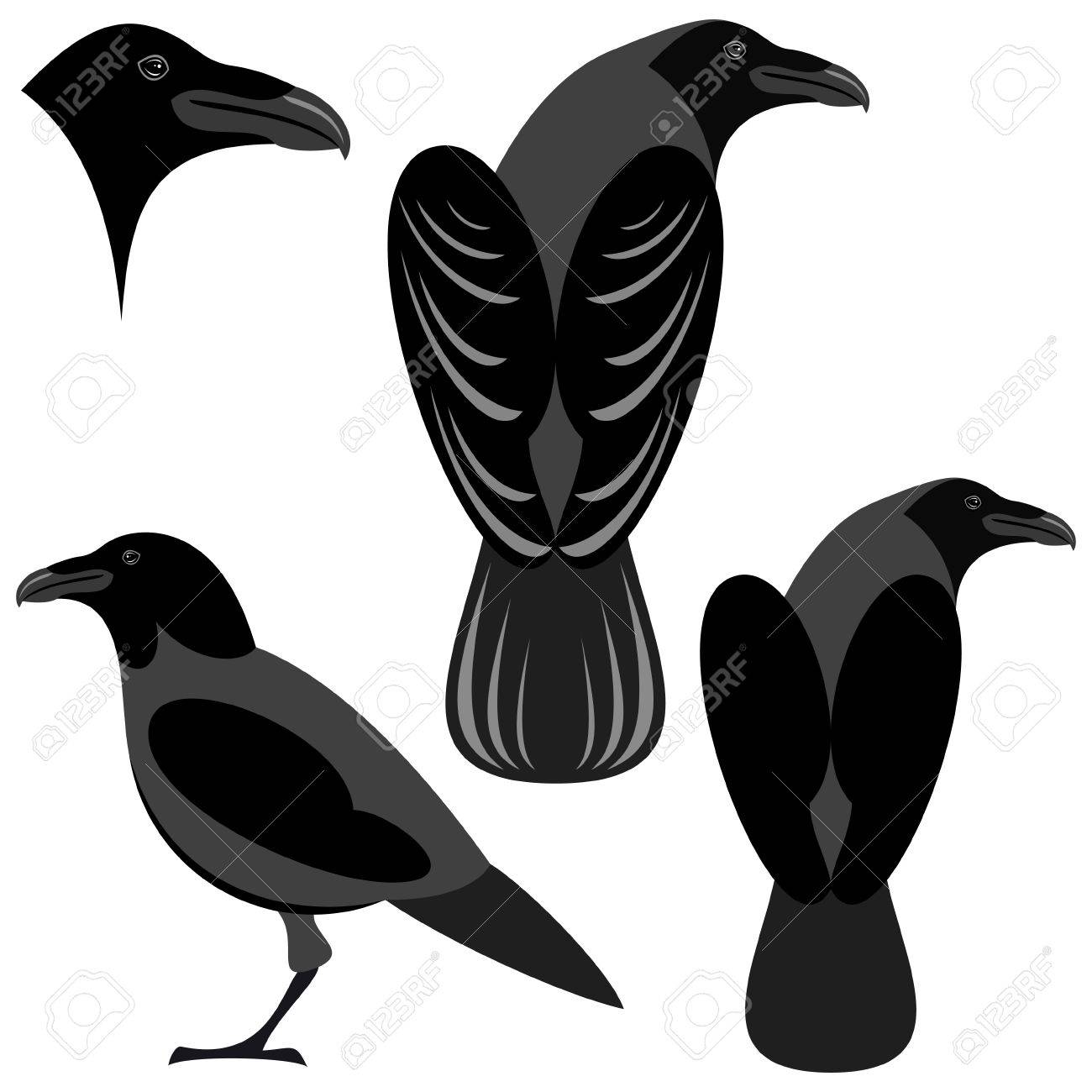 カラスの図のイラスト素材 ベクタ Image