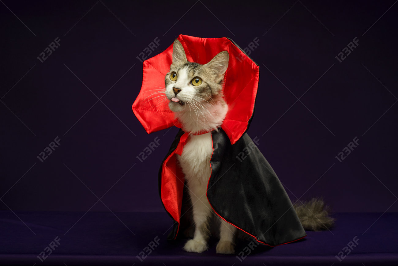 etiam-dictum-ipsum-a-felis