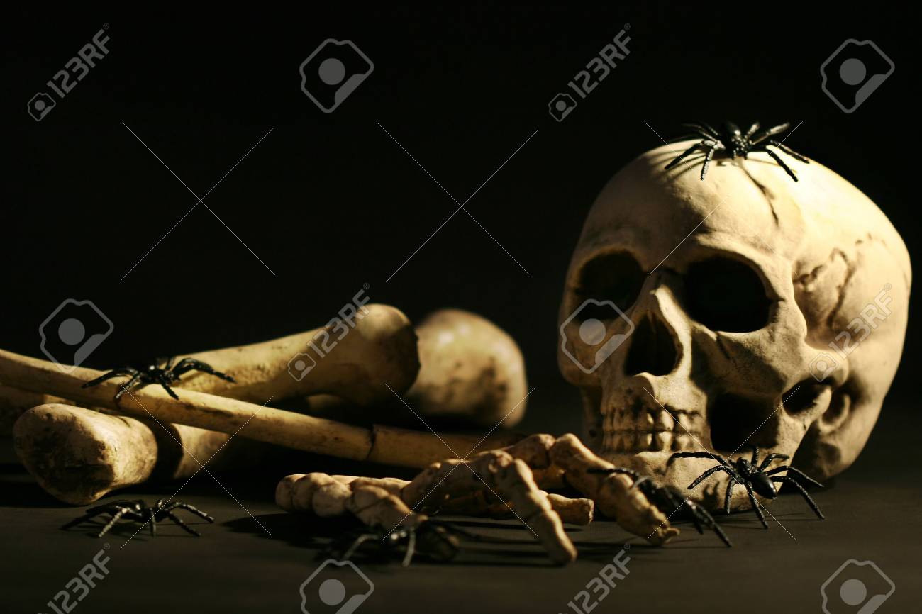 etiam-dictum-ipsum-a-felis