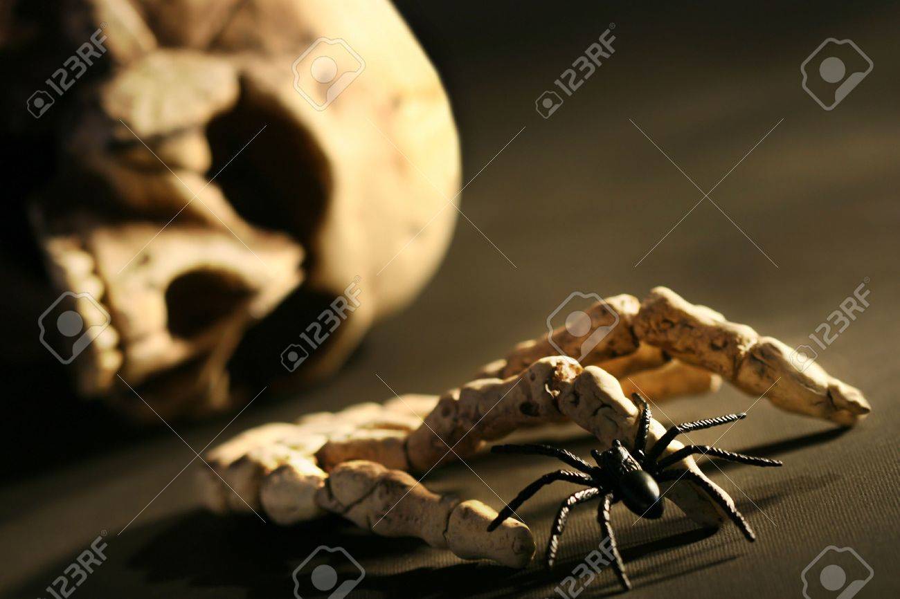 etiam-dictum-ipsum-a-felis