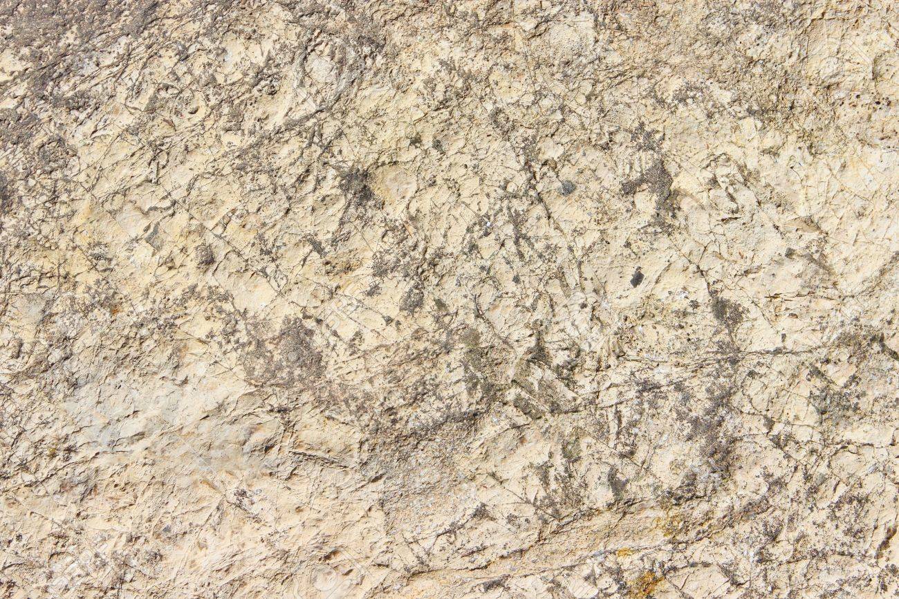 Rough Limestone Texture Rough Limestone Texture