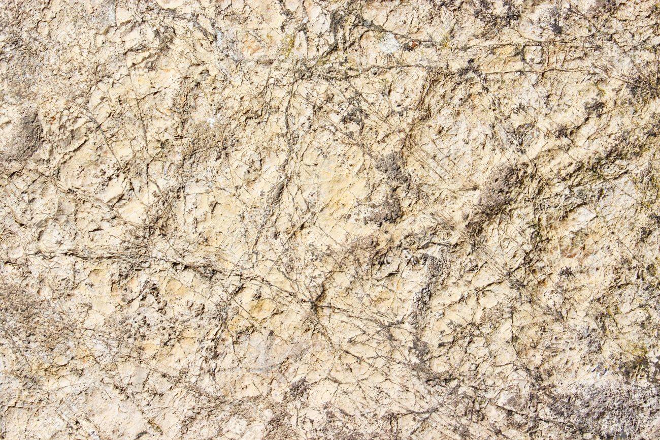 Rough Limestone Texture Rough Limestone Texture