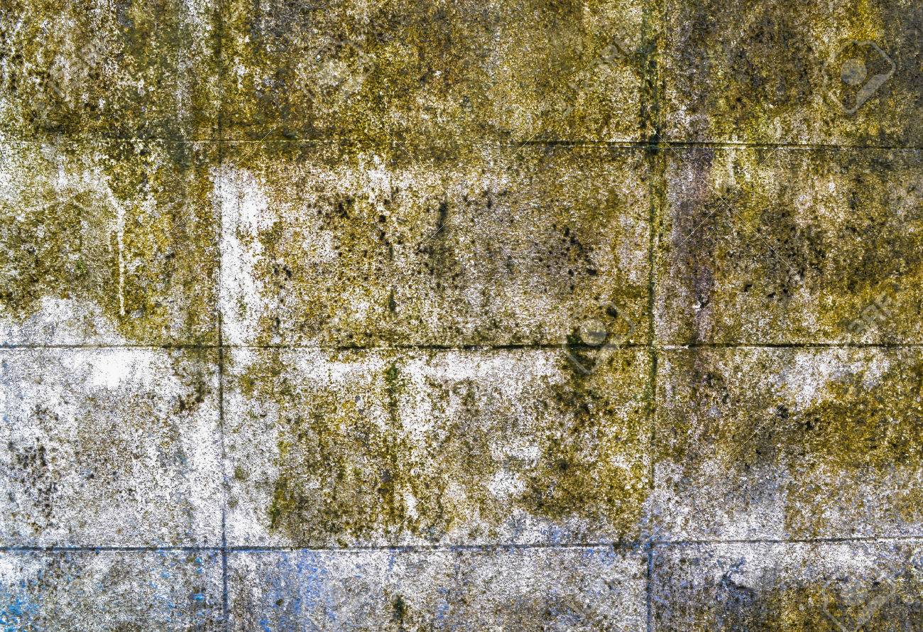 Mold Growth And Water Stains On The Ceiling Of An Abandoned House