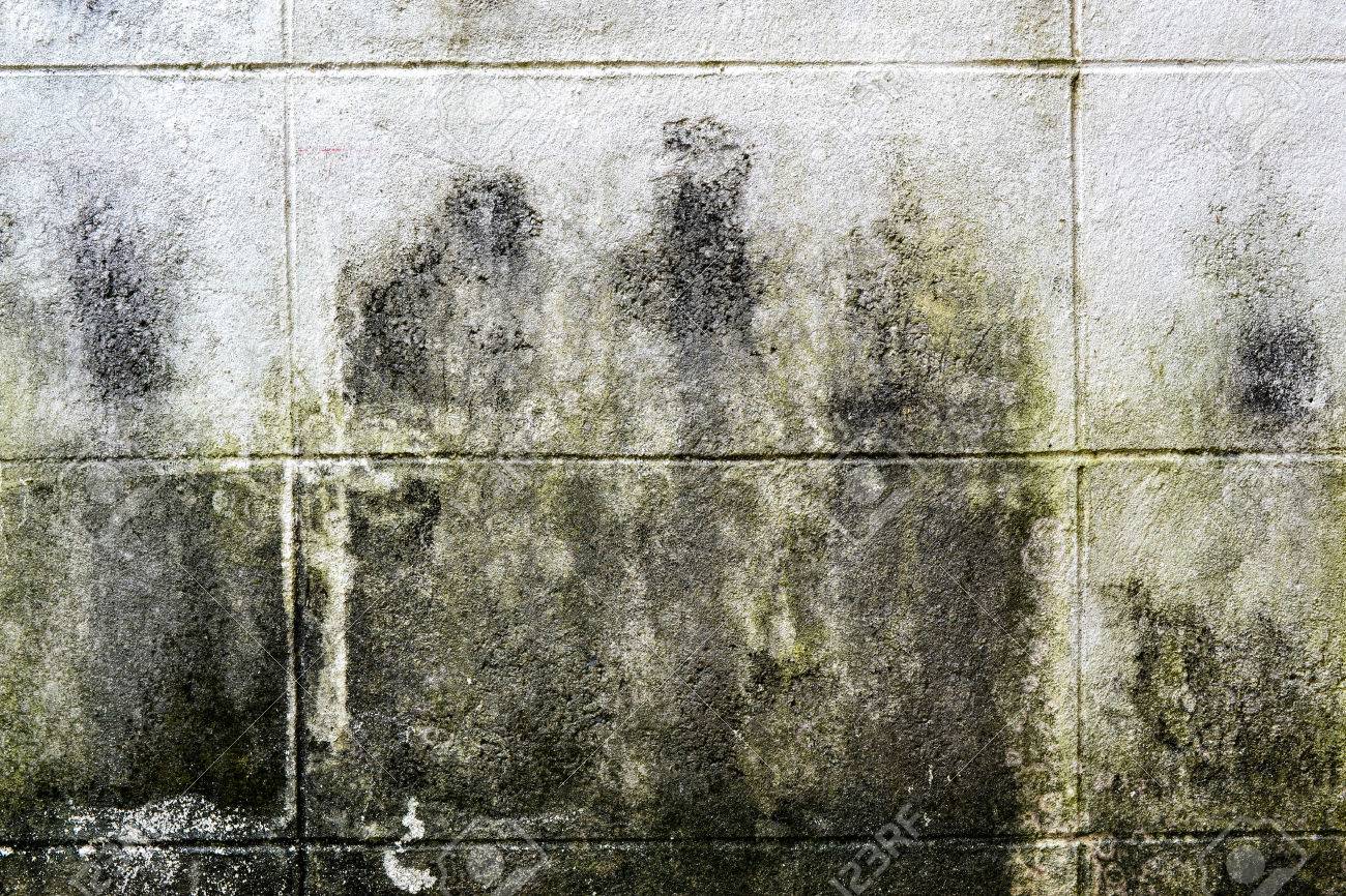 Mold Growth And Water Stains On The Ceiling Of An Abandoned House