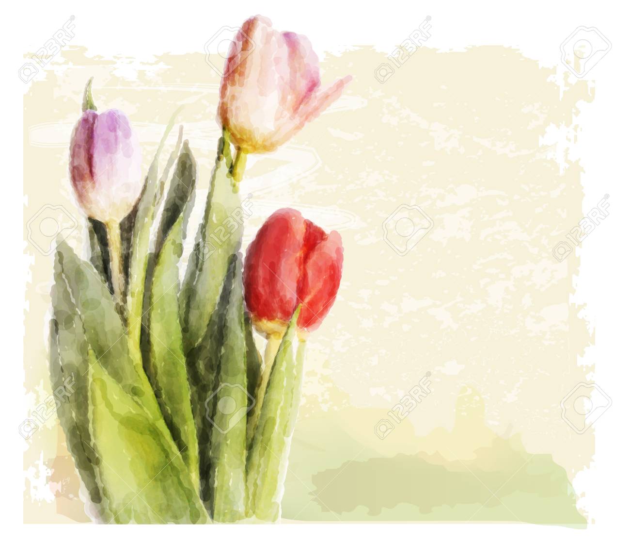 チューリップの花束 水彩イラストのイラスト素材 ベクタ Image チューリップの花束 水彩イラストのイラスト素材 ベクタ Image
