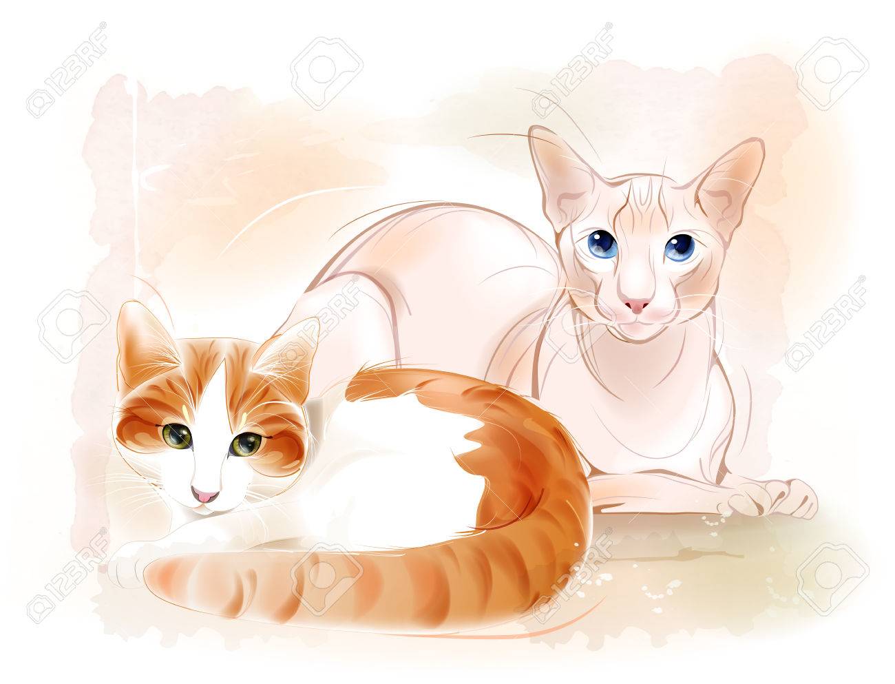 Couple Of Cats On The Watercolor Background Ginger Cat And Sphinx
