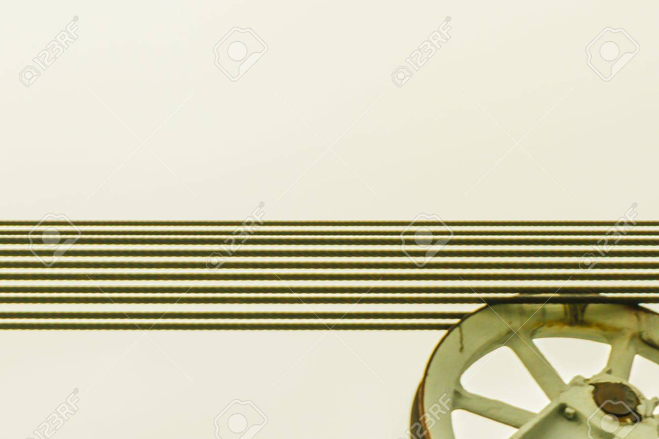 etiam-dictum-ipsum-a-felis