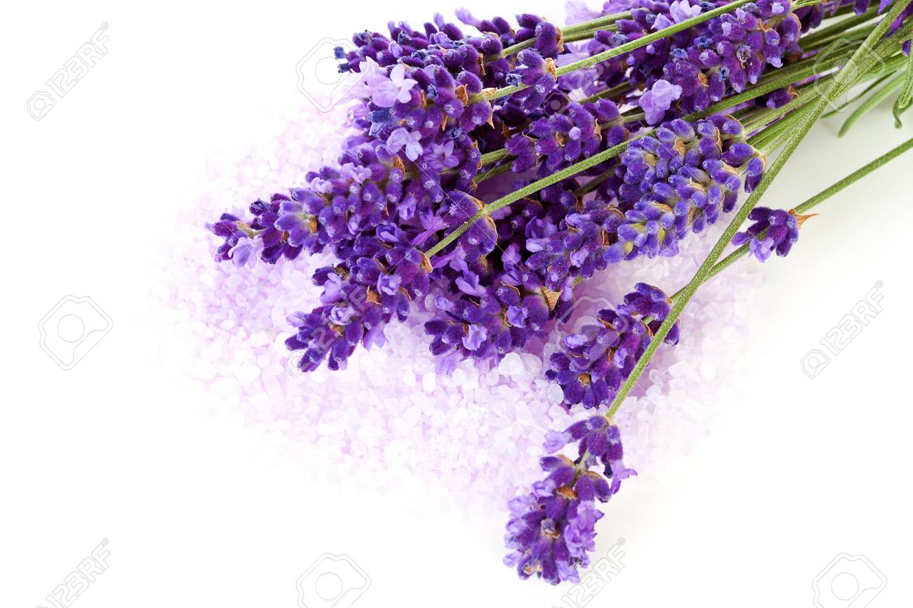 ラベンダーの花と白い背景の上のピンクの入浴剤 の写真素材 画像素材 Image